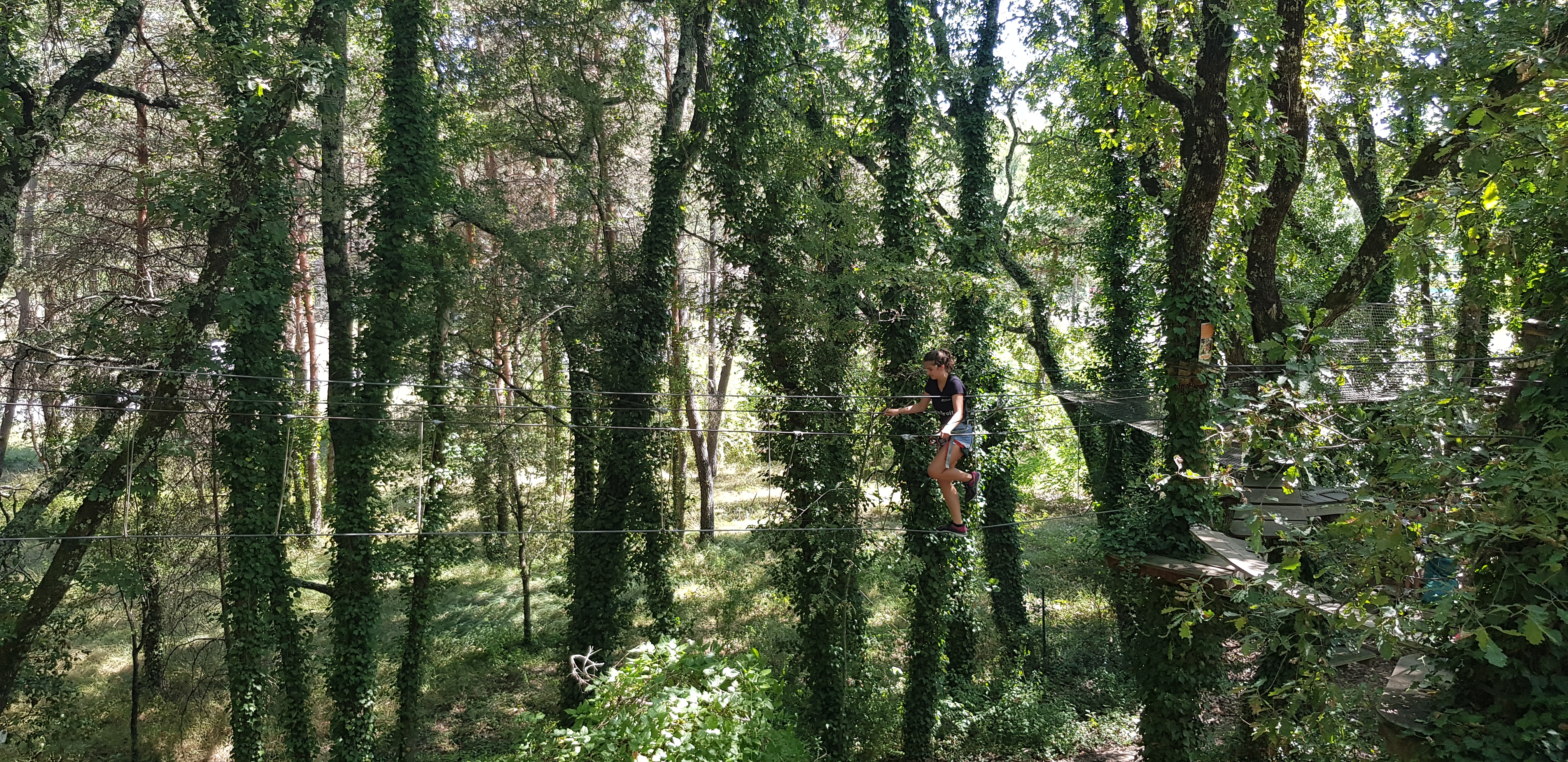 Photo n° 4 de l'avis de Arthur.a fait le 21/08/2020 à 21:31