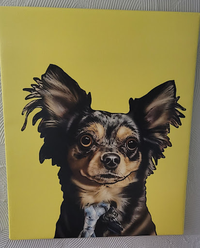 Coulee Mobile Veterinary Clinic veterinary clinic