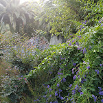 Photo n°5 de l'avis de Prova.n fait le 15/08/2019 à 16:22 sur le  Poggio di Casalucense à Olivella