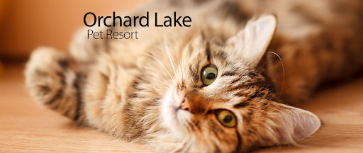 Orchard Lake Pet Resort