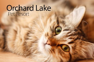 Orchard Lake Pet Resort image
