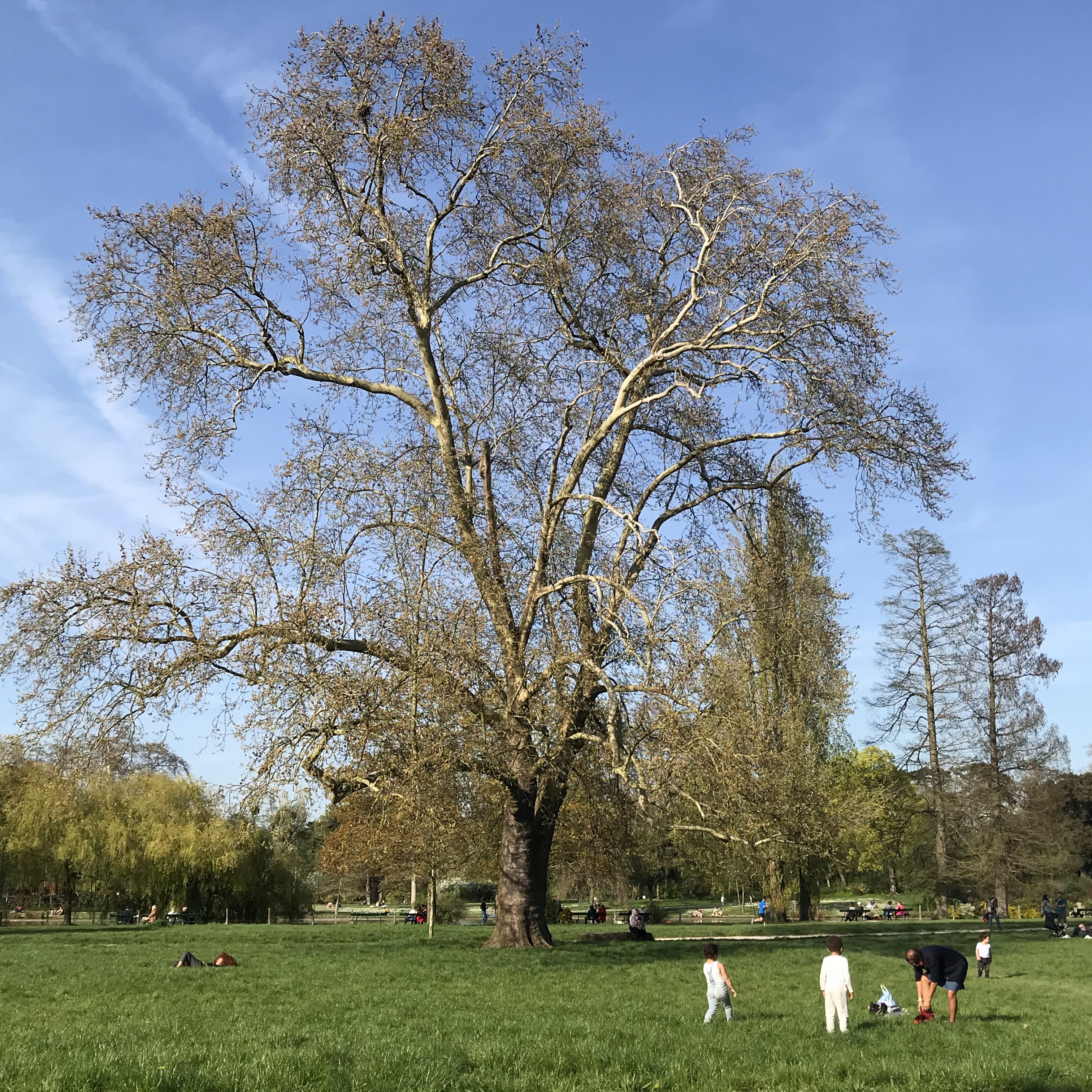 Photo n° 8 de l'avis de Franck.a fait le 02/05/2018 à 05:52