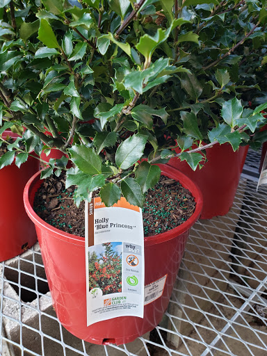 Home Improvement Store «The Home Depot», reviews and photos, 2075 Pipestone Rd, Benton Harbor, MI 49022, USA