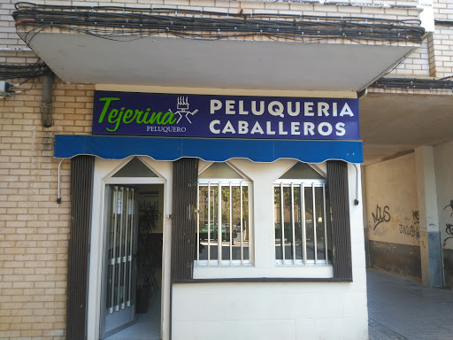 Información y opiniones sobre Peluquería Tejerina de Cáceres