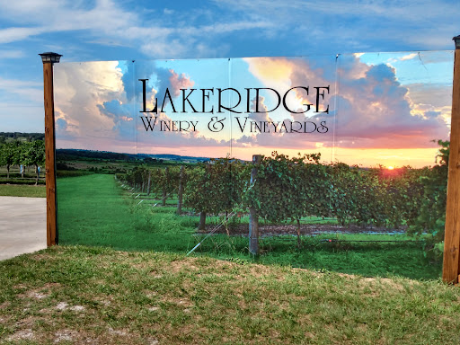 Vineyard «Lakeridge Winery & Vineyards», reviews and photos, 19239 US-27, Clermont, FL 34715, USA