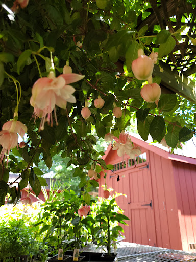 Farm «B & B Flower Farm», reviews and photos, 668 Jones Hill Rd, West Haven, CT 06516, USA