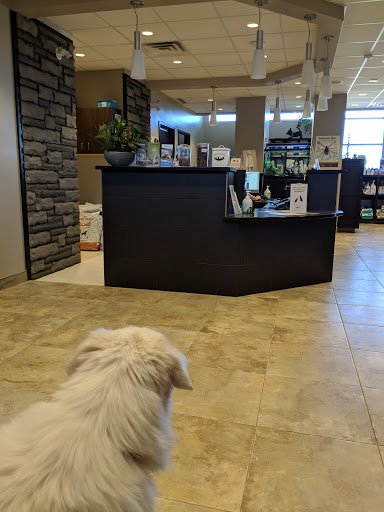 Southside Animal Clinic