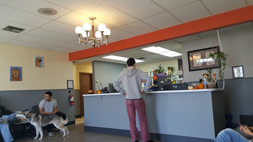 San Bruno Pet Hospital image