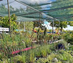 Garden Center in Tegel GmbH photo