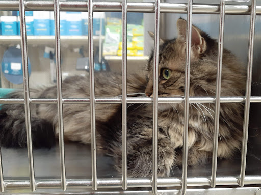 Pet Supply Store «PetSmart», reviews and photos, 1125 Quentin Rd, Lebanon, PA 17042, USA