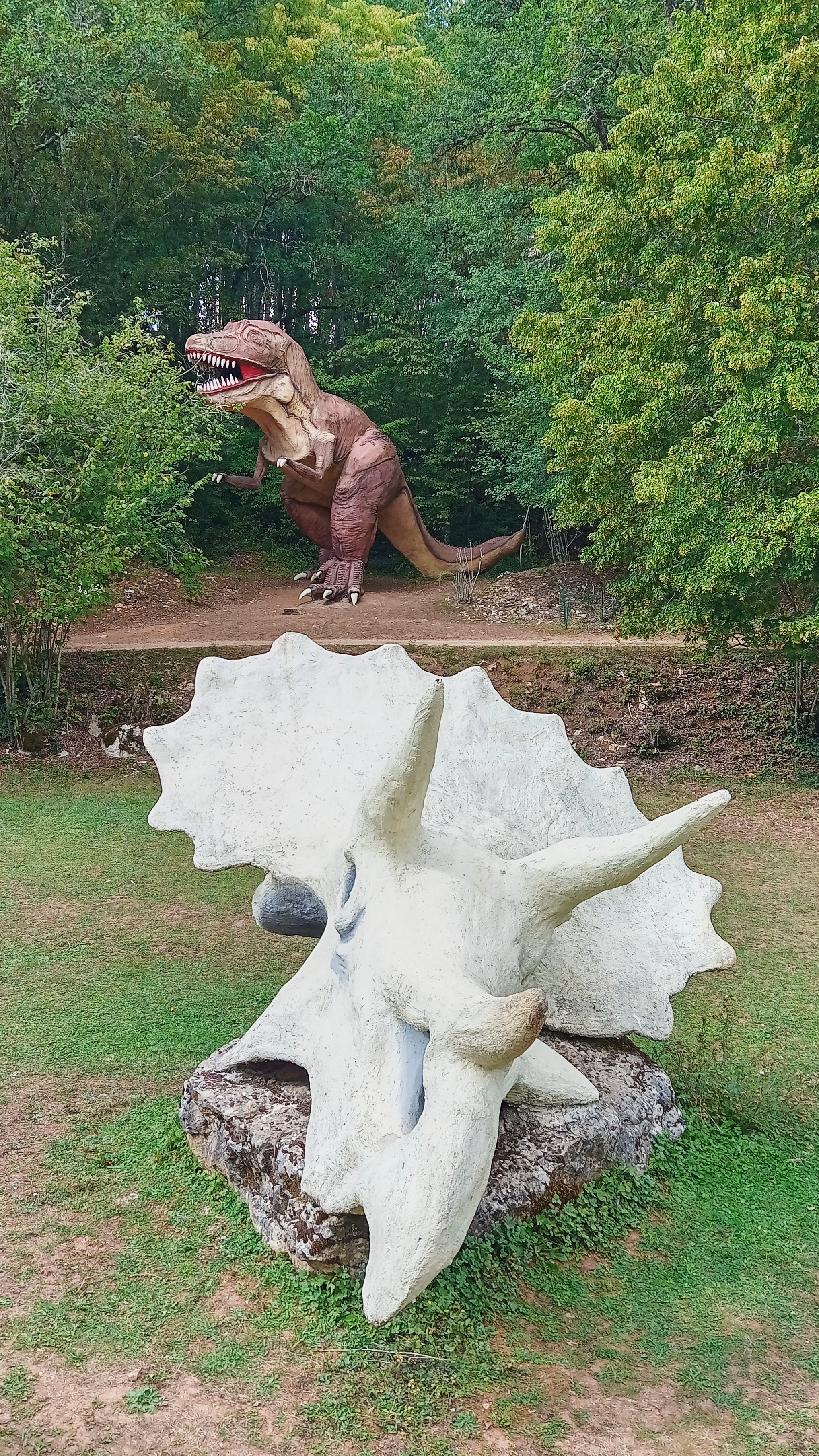 Photo n° 1 de l'avis de Guillaume.e fait le 13/09/2023 à 16:01