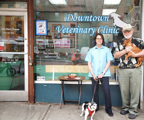  alt='Loved my experience here at Downtown Veterinary clinic with Dr. Ficarro'