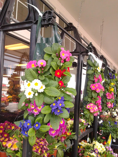 Shopping Mall «Harbour Pointe Shopping Center», reviews and photos, 11706 Mukilteo Speedway, Mukilteo, WA 98275, USA