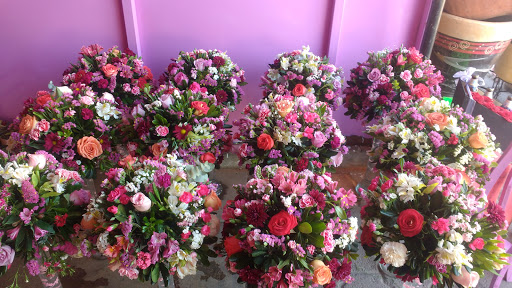 Floreria 2 Gardenias – Texcoco