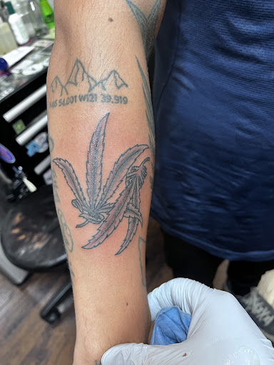 Explore draco tattoo ideas, creative tattoo ideas in Lakewood, available at Union Ave Tattoo Company