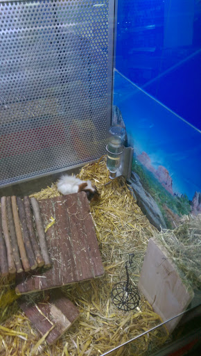 Zoo Hoppe unter Mülheim-Kärlich, 