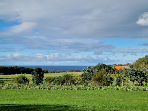 Yoga Room and Education Center in Østermarie, Bornholm