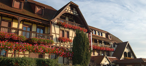 Hôtel-Restaurant Au Parc des Cigognes à Kintzheim