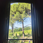 Photo n°1 de l'avis de Emanuele.a fait le 19/07/2023 à 19:05 sur le  Il Cardello Locanda à Casola Valsenio