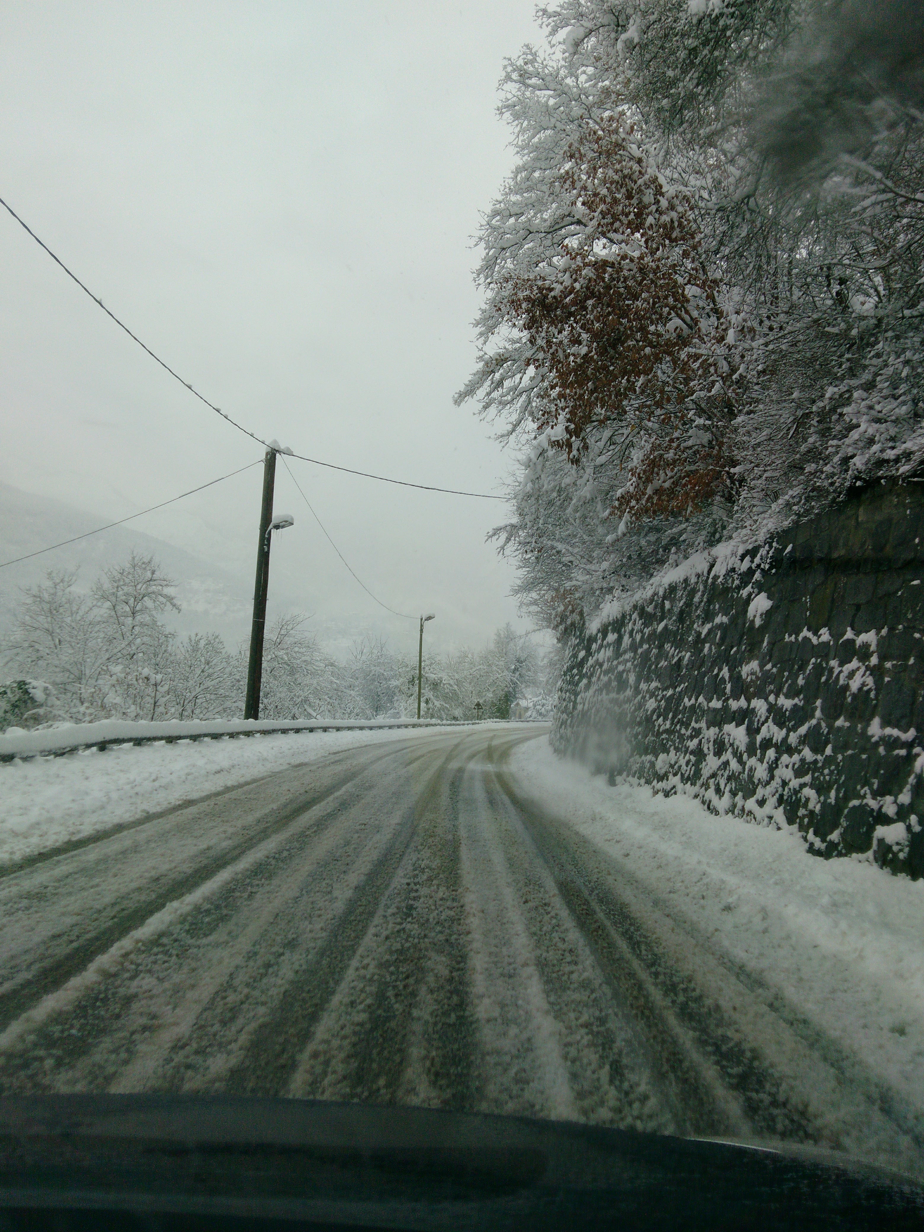 Photo n° 2 de l'avis de Moly. fait le 18/05/2018 à 18:46