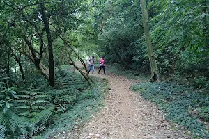Jinbaoli Trail image