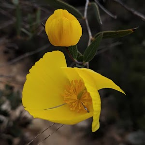 Iron Mountain Summit - photo 8