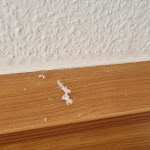 Photo n°1 de l'avis de Sanni. fait le 26/09/2021 à 18:15 sur le  Center Hotel Kaiserhof à Naumburg