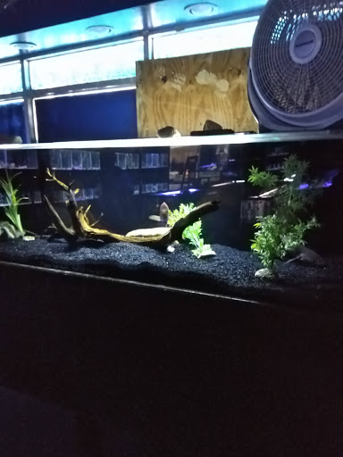 Aquarium «Sea Oddities», reviews and photos, 128 Broad St, Kingsport, TN 37660, USA