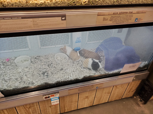 Pet Supply Store «Petco Animal Supplies», reviews and photos, 95 U.S. 9, Englishtown, NJ 07726, USA