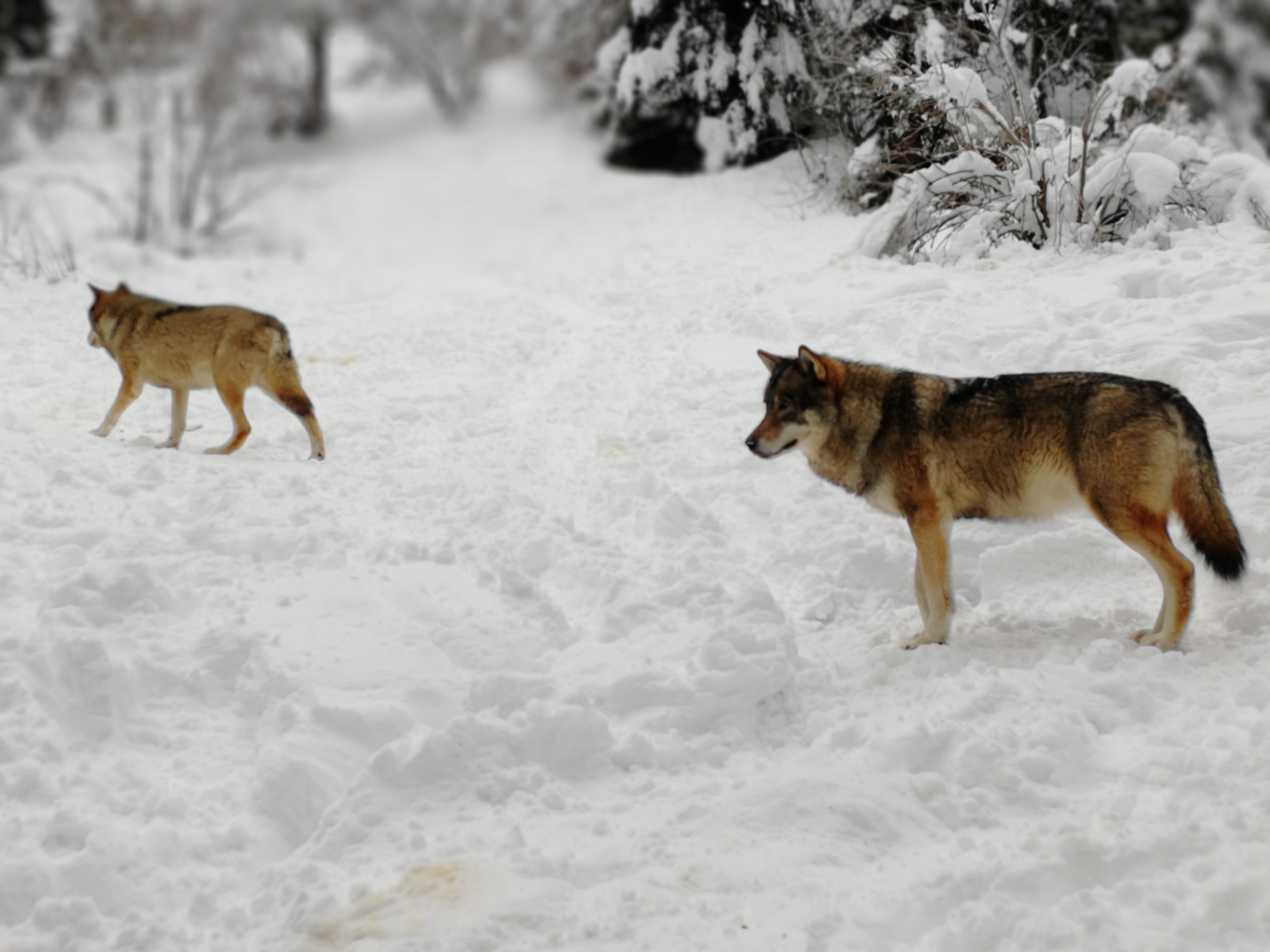 Photo n° 4 de l'avis de Melodie.r fait le 18/01/2018 à 19:09