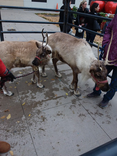 Culinary School «Niagara Falls Culinary Institute», reviews and photos