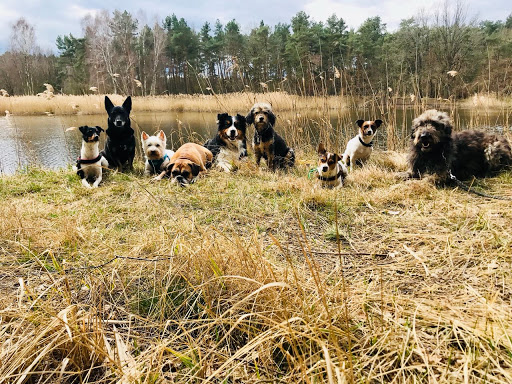 Tierisch Belzig e.V. unter Bad Belzig, 
