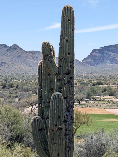 Golf Club «We-Ko-Pa Golf Club», reviews and photos, 18200 E Toh Vee Cir, Fort McDowell, AZ 85264, USA