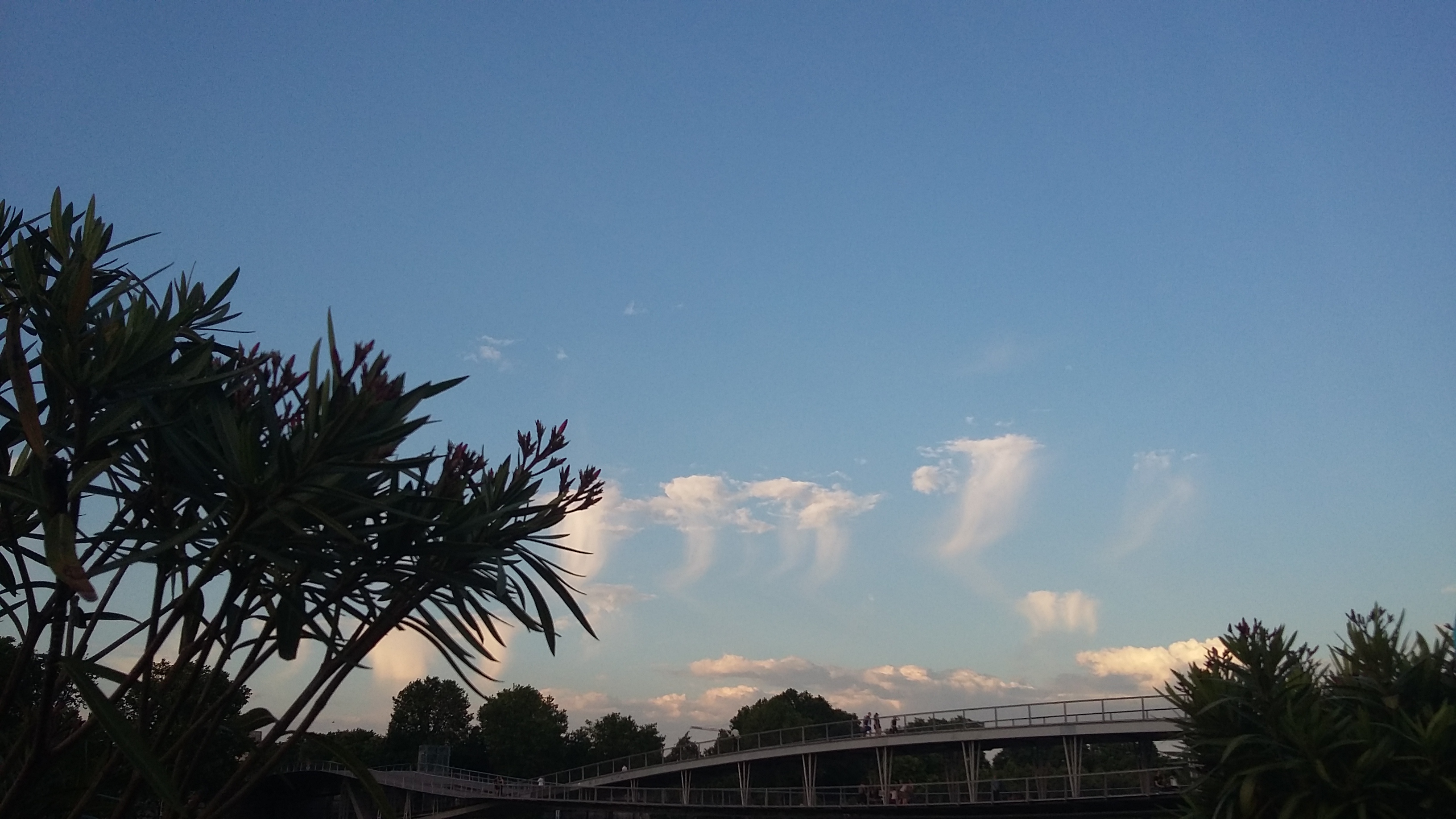 Photo n° 5 de l'avis de Le.l fait le 26/08/2016 à 17:28