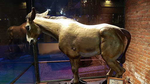 Casino «The Brass Ass», reviews and photos, 264 Bennett Ave, Cripple Creek, CO 80813, USA