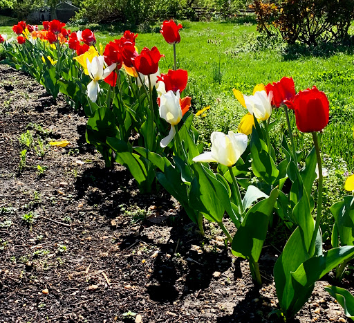 Historical Place Museum «Riversdale House Museum», reviews and photos, 4811 Riverdale Rd, Riverdale, MD 20737, USA