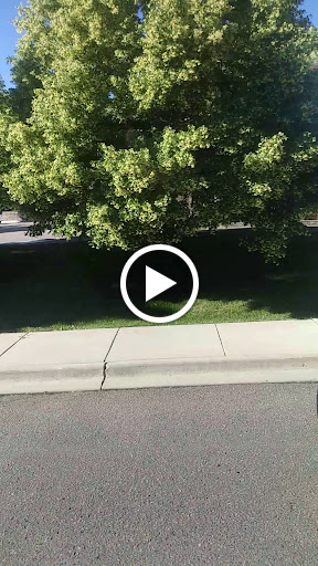 Grocery Store «Safeway», reviews and photos, 9255 S Broadway, Highlands Ranch, CO 80129, USA