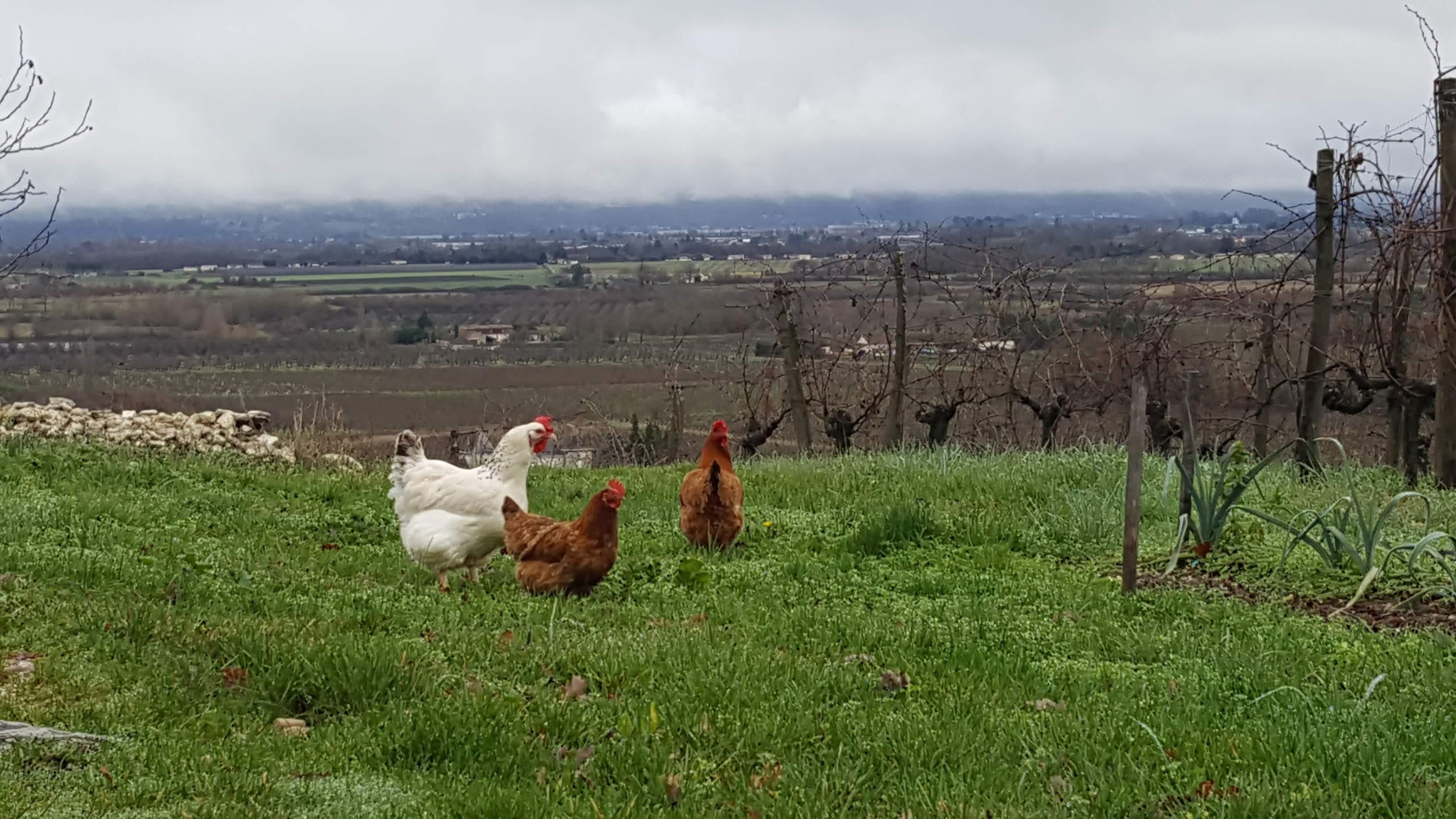 Photo n° 5 de l'avis de James.r fait le 28/12/2018 à 08:42