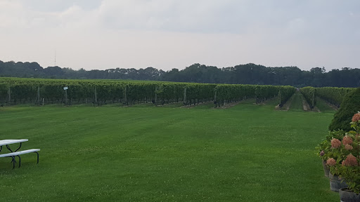 Winery «Laurel Lake Vineyards», reviews and photos, 3165 Main Rd, Laurel, NY 11948, USA