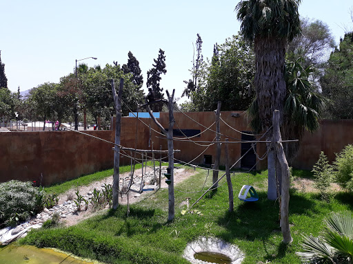 Garden at Tijuana