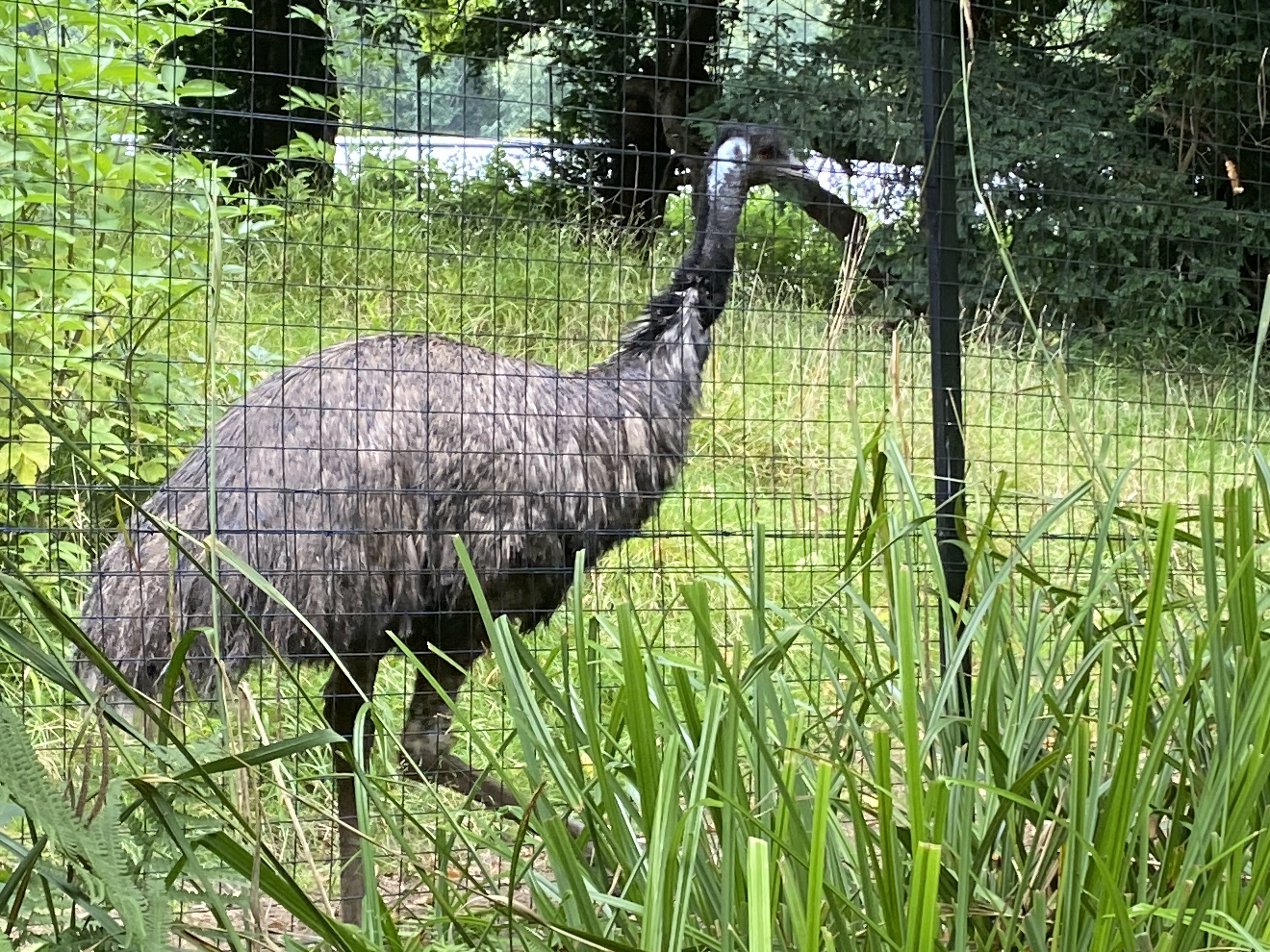 Photo n° 36 de l'avis de Mickael.e fait le 11/08/2023 à 05:54