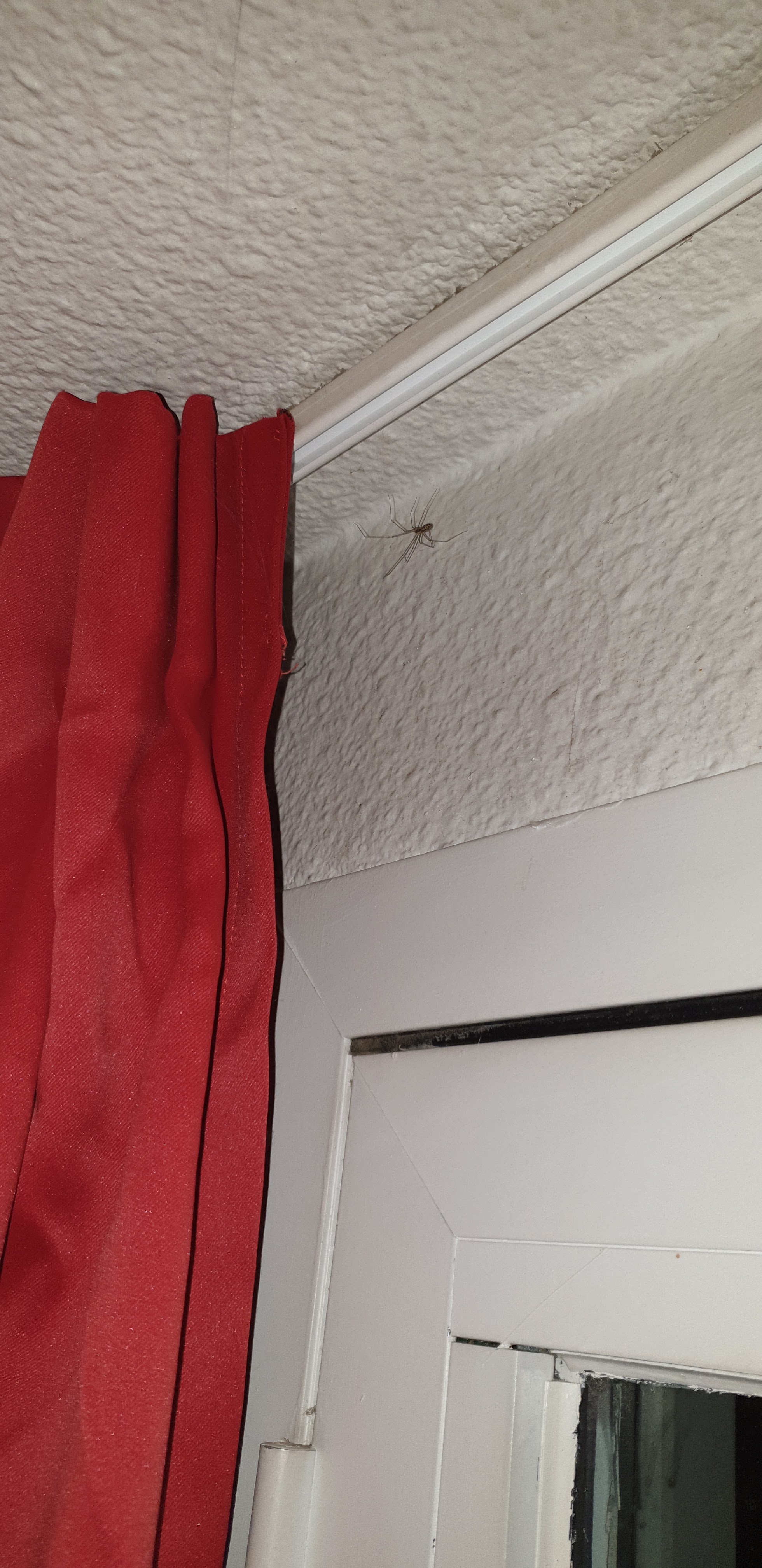 Photo n° 2 de l'avis de Volodymyr.o fait le 30/05/2021 à 20:31