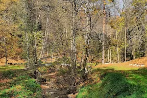 Valley of Adam Mickiewicz image