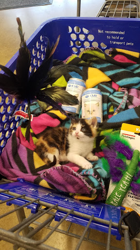 Pet Supply Store «PetSmart», reviews and photos, 2389 Taylor Park Dr, Reynoldsburg, OH 43068, USA