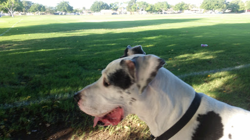 Park «Heers Park», reviews and photos, 6320 Plaza Verde Pl, Las Vegas, NV 89108, USA