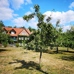 Photo n°9 de l'avis de Sebastian.o fait le 24/08/2019 à 19:54 sur le  Waldhotel Eiche à Burg