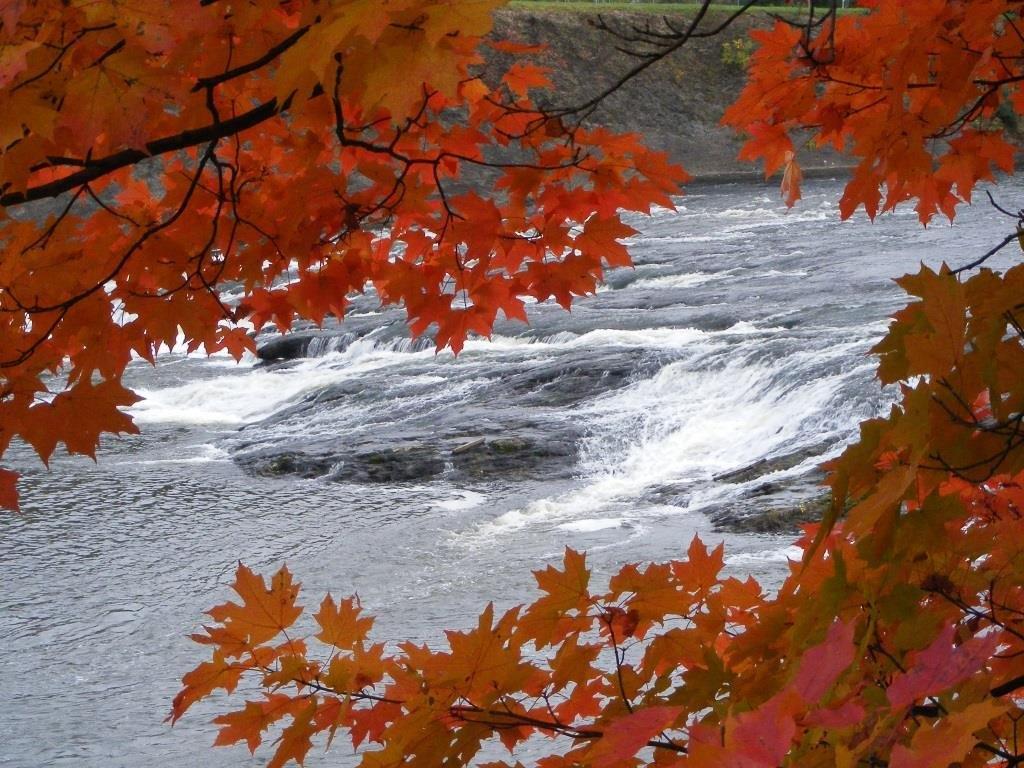 Friends of Peebles Island State Park