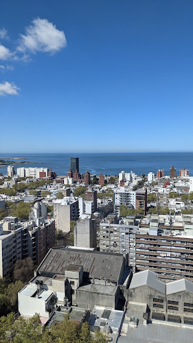 Opiniones de Intendencia Municipal de Montevideo en Montevideo - Servicio de mensajería