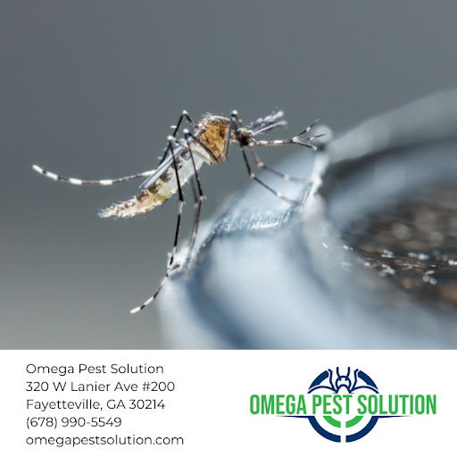 Pest Control Service