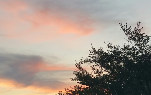 Discount Store «Big Lots», reviews and photos, 111 S Weber Rd, Bolingbrook, IL 60490, USA